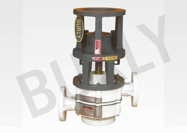 Vertical Pumps